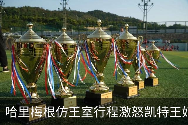 哈里梅根仿王室行程激怒凯特王妃，多年积怨爆发，坚持先问责