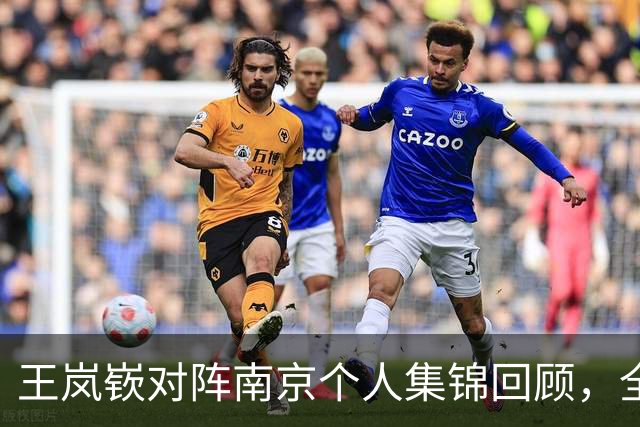 王岚嵚对阵南京个人集锦回顾，全场得到27分6篮板2助攻
